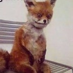 Profile Picture of Erik Tangen (@eriktangen96) on Instagram