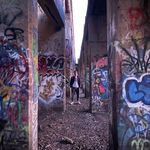 Profile Picture of Noel Forrest (@noelllforrest) on Instagram
