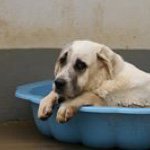 Massima d'Espagna - Instagram Profile Picture of Massima d'Espagna (@massima_despagna) on Instagram