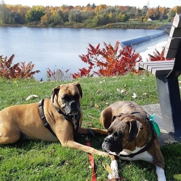 Profile Picture of Dalin Dalin (@dalindalin) on Poshmark