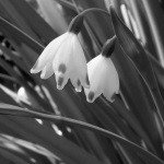 Profile Picture of Dockett (@72kevinbergxe) on Instagram