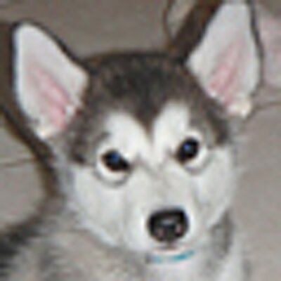 Profile Picture of Jeff Reeves (@JeffreyReeves) on Twitter