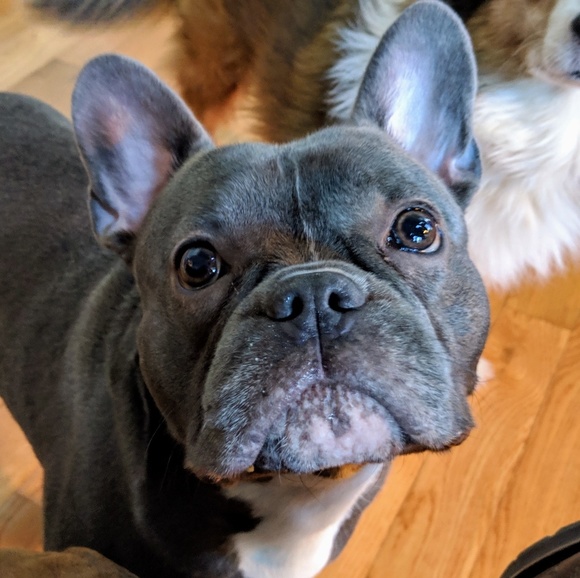 Profile Picture of Chris Bouchard (@cbouchard2476) on Poshmark