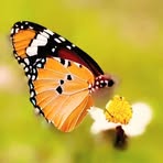 Profile Picture of Kumar Prakash (@Kumar-Prakash) on Facebook