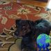 Profile Picture of Joseph Markovich (@joseph.markovich.507) on Facebook
