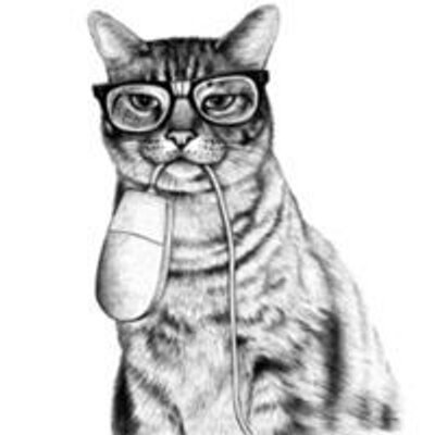 Profile Picture of Priscilla Walters (@Priscil22561345) on Twitter