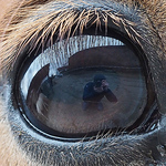 Profile Picture of Daniel Pfeiffer (@daniel pfeiffer) on Flickr