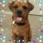 Profile Picture of danielle (@danielle_campbell_forschler) on Instagram