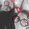 Profile Picture of Allyson Peterson (@@allysonpeterson94) on Tiktok