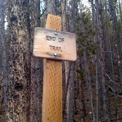 Profile Picture of Seth Murphy (@thatsethguy) on Twitter