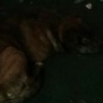 Profile Picture of Whitney (@whitneyosterhout7) on Instagram