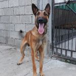 Profile Picture of Roy Duque (@roy.duque.58) on Instagram