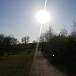 Profile Picture of Claudia Fink (@claudiaweissalles) on Instagram