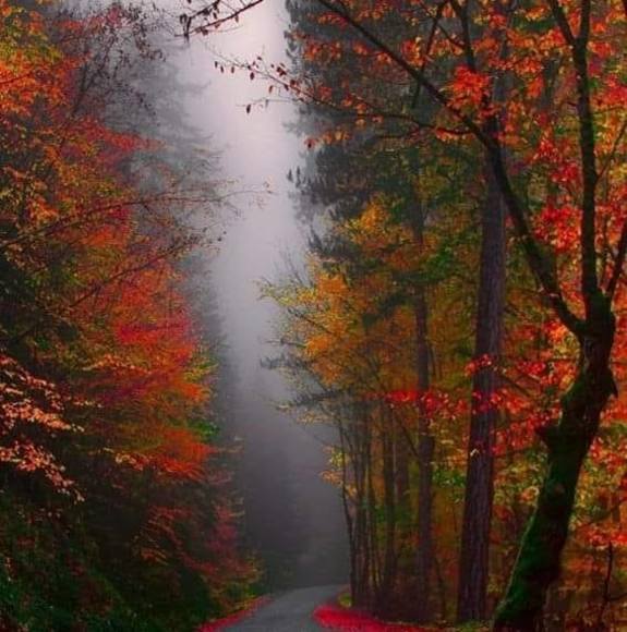 Profile Picture of Catherine Nordeste jacobsen (@nani0429) on Poshmark