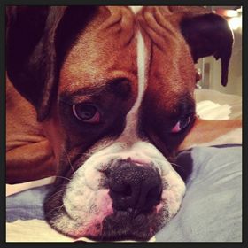 Profile Picture of Heather Schiek (@hschiek) on Pinterest