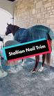 Profile Picture of   Jimmy Creed gettin' his... (@spendthriftfarm) on Tiktok