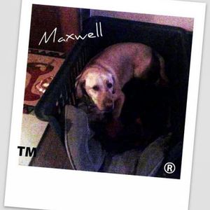 Profile Picture of Angela Rossi (@angelarossi1012) on Myspace