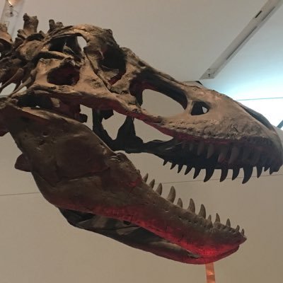 Profile Picture of Eric Dunham (@dunhameric) on Twitter