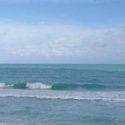 Profile Picture of Lori Carlson (@lori_lcarlson) on Twitter