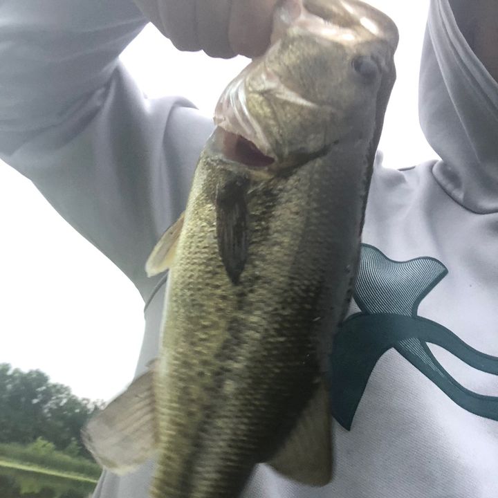 Profile Picture of Braeden Hancock (@braeden.hancock4) on Tiktok