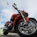 Profile Picture of Gary Thibault (@rexcarney) on Pinterest