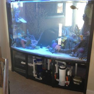 Profile Picture of Maurice Reece Giddings (@maurice.giddings) on Facebook