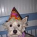 Profile Picture of Marcia Jerzycki Gimpel (@marcia.gimpel) on Facebook