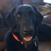 Profile Picture of Michael Turner (@michael.turner.543792) on Facebook