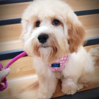 Profile Picture of Suzanne McGregor (@xxmisssmileyxx) on Twitter