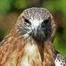 Profile Picture of Ray Lamb (@ray.lamb.507) on Facebook
