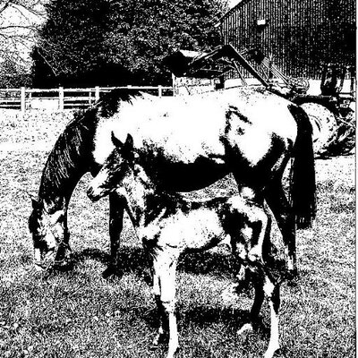 Profile Picture of Brian Derrick (@Ballylira) on Twitter