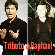 Profile Picture of Tributo A Raphael Santiago Chile (@tributoaraphaelsantiagochi1295) on Youtube