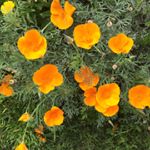 Profile Picture of paul formanek (@paulformanek7052) on Instagram