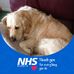 Profile Picture of Anne Newcombe (@anne.newcombe.5) on Facebook