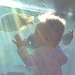 Jess & Sean Cissel (& Fox) - Instagram Profile Picture of Jess & Sean Cissel (& Fox) (@jrcissel) on Instagram