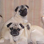 Profile Picture of Steve Ruffino (@lostrambler07) on Youtube