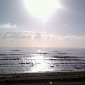 Profile Picture of Michael Avella (@maavella) on Youtube