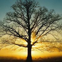 Profile Picture of Peter Roo (@peter-roo-1) on Quora