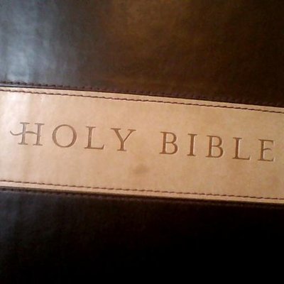 Profile Picture of Terry Kelly (@sawhos) on Twitter