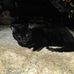 Profile Picture of John Spiering (@john.spiering.77) on Facebook