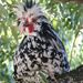 Profile Picture of Christina Johns (@anderago) on Pinterest