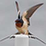 Profile Picture of Paul Willis (@paul e willis) on Flickr