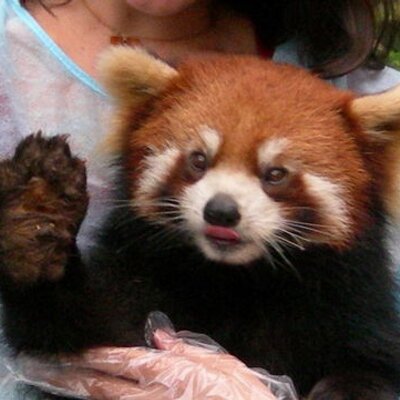Profile Picture of Steve In Chicago (@SteveInChiStock) on Twitter