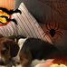 Profile Picture of Thomas Beagle (@thomas.beagle.96) on Facebook