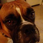 Tyler McCord - Instagram Profile Picture of Tyler McCord (@tylerjetsbest14) on Instagram