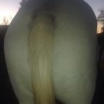 Pam Boyer - Instagram Profile Picture of Pam Boyer (@pam.boyer) on Instagram