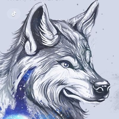 Profile Picture of Halo (@DundonJay) on Twitter