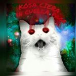 Profile Picture of Kosa Ciera In Cuella Page (@kosa_ciera_in_cuella_page) on Instagram