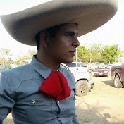 Profile Picture of L Andrade (@landrade9378) on Youtube