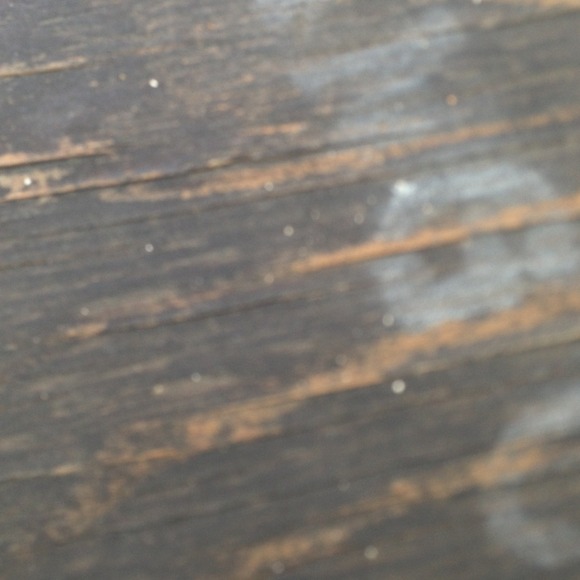 Profile Picture of Brittany Goellner (@bgoellner) on Poshmark